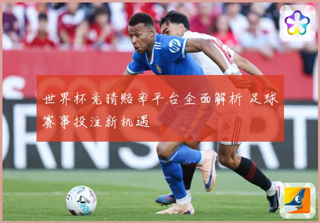 世界杯竞猜赔率平台全面解析 足球赛事投注新机遇
