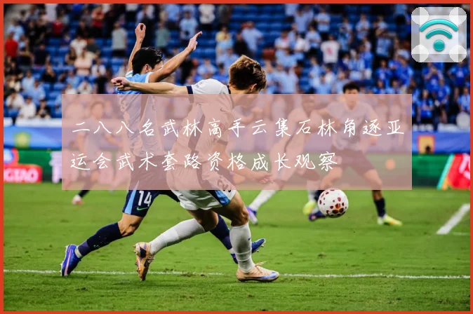 二八八名武林高手云集石林角逐亚运会武术套路资格成长观察