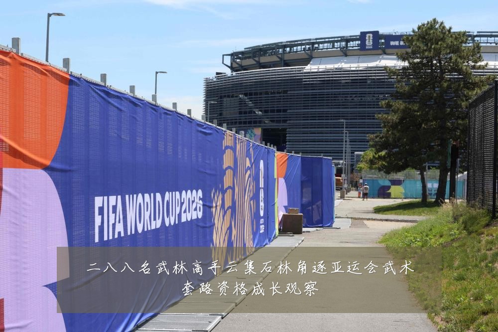 二八八名武林高手云集石林角逐亚运会武术套路资格成长观察
