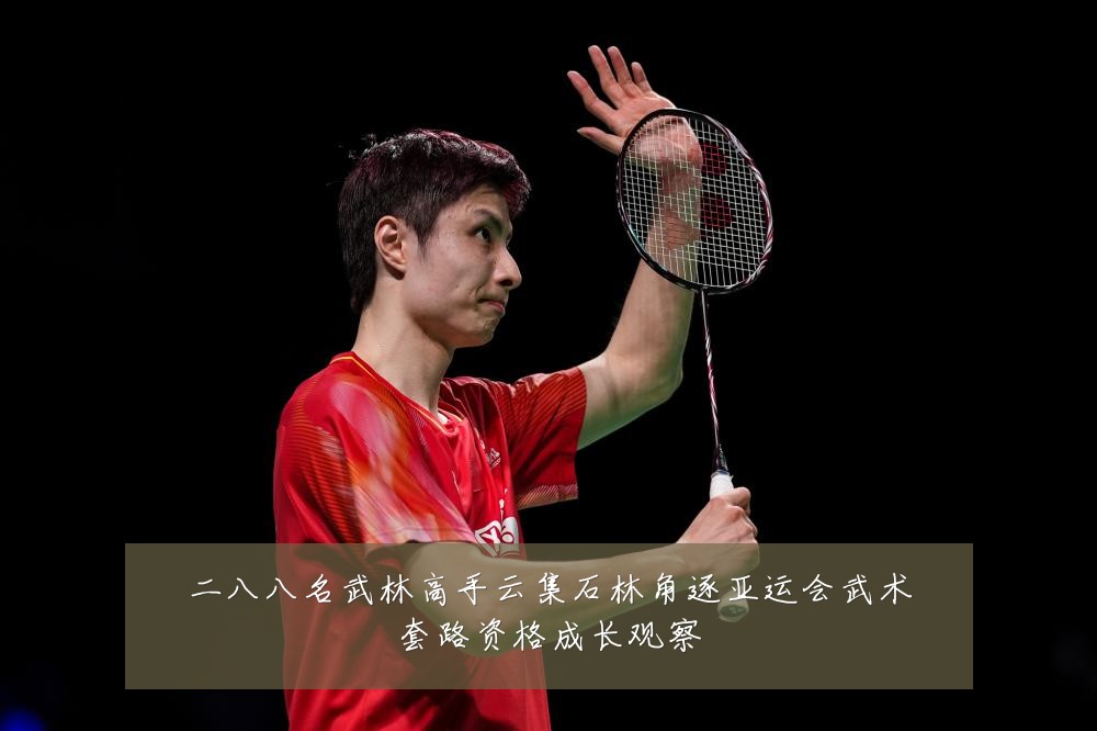 二八八名武林高手云集石林角逐亚运会武术套路资格成长观察